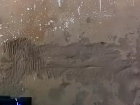 Amateur Vanessa Ferreira Teases with Delicious Ass in Goiânia