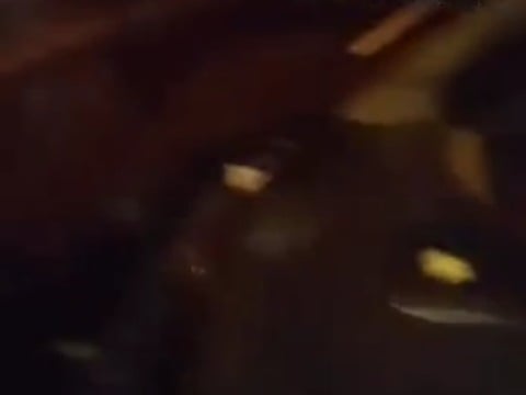 Naughty Stranger Takes Advantage of High Couple Sleeping in Car