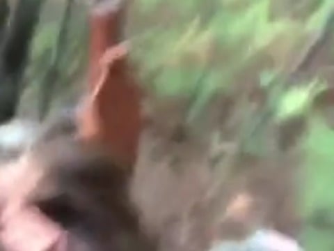 Soldier Gets A Blowjob In The Woods Amateur Porn